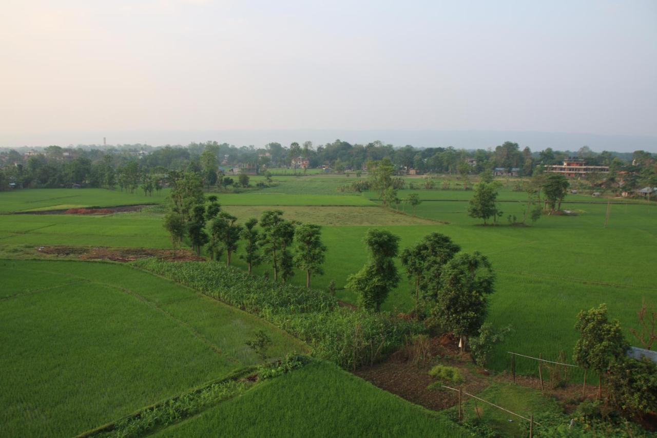 Sweet Home Chitwan Esterno foto